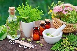 The History of Homeopathy: From Ancient Roots to Modern Practice